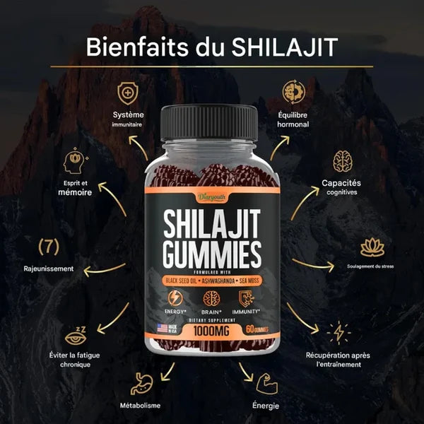 Diaryouth Pure Himalayan Shilajit Gummies