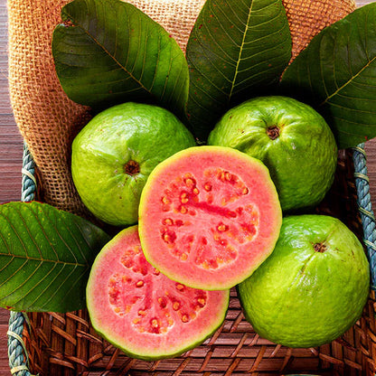 🔥🌱Guava Graines de goyave-fraise