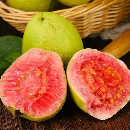 🔥🌱Guava Graines de goyave-fraise