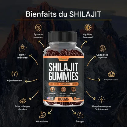Diaryouth Pure Himalayan Shilajit Gummies