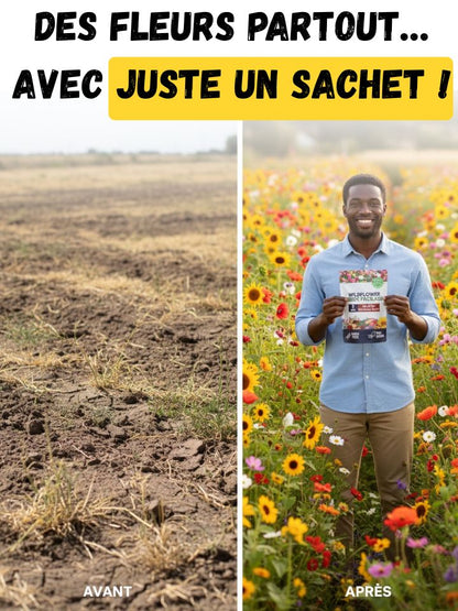 Graines de Fleurs Héritage – Pour un Jardin Vivant et Coloré