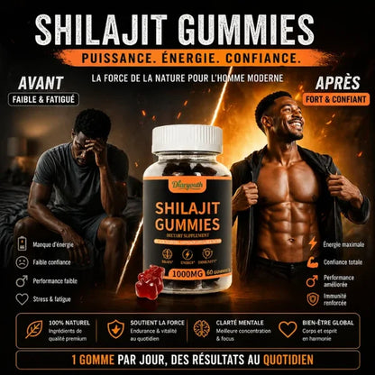 Diaryouth Pure Himalayan Shilajit Gummies