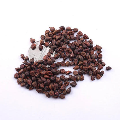 Graines de raisin saphir de haute qualité 🍇✨