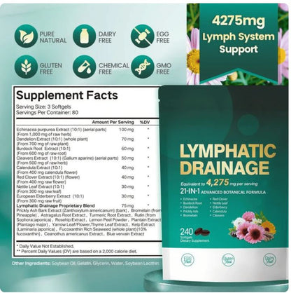 Complexe de drainage lymphatique quotidien ZQYRA